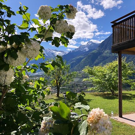 Der Blaue Reiter Aparthotel Schenna Exterior photo